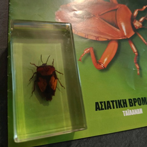 Real insects issue 12 used