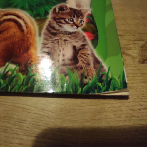 Carouzel The Jungle Sequel 3 sticker album used