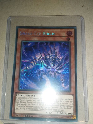 Snake-Eye Birch like new with protective sleeve