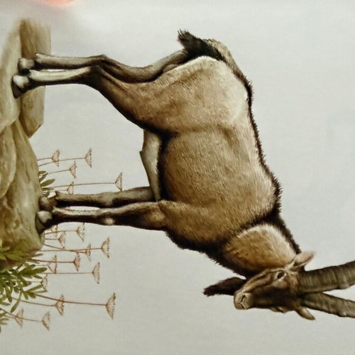 Artis Historia Vintage Mammals Illustration Lot, 120 Prints, 1971