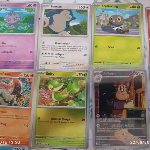Pokemon cards Panini