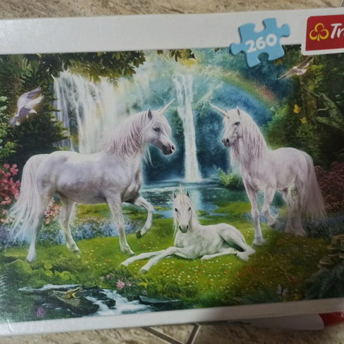 Trefl puzzle 260 pieces used