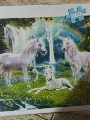 Trefl puzzle 260 pieces used