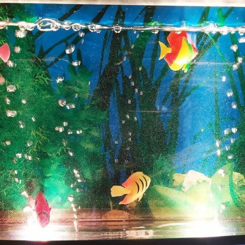 TV Aquarium Lamp used, children's decorative aquarium with lamp and fish