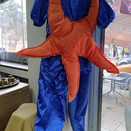 Star carnival costume used