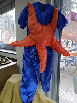 Star carnival costume used