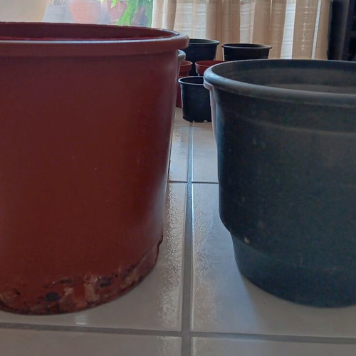 Plastic flower pots used, pack of 22, black and terracotta