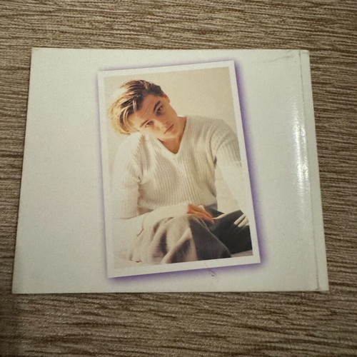 Leonardo Di Caprio Collectible Poster Booklet like new