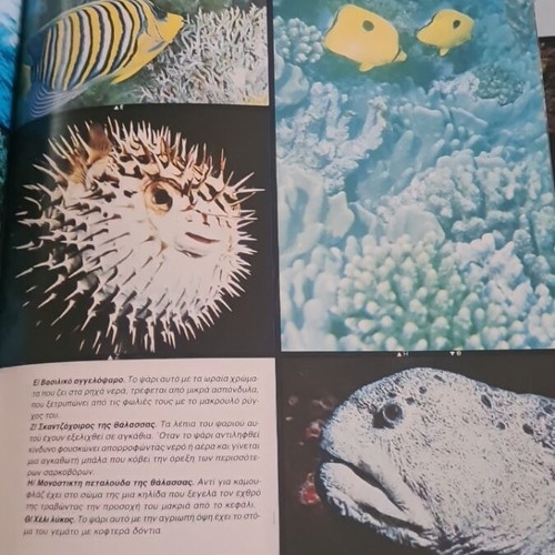 The World of the Seas Encyclopedia like new, Greek