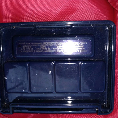 Estee Lauder eyeshadow palette used with brush wear