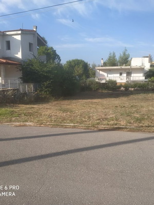 Land plot 593 m² buildable in Viotia, Sximatari, Plaka Dilesi