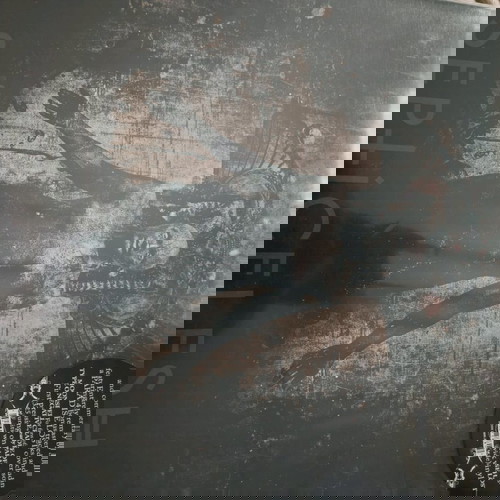 Δίσκος βινυλίου 2 lp Septic flesh A fallen temple deluxe reissue first press on black vinyl 325 units worldwide