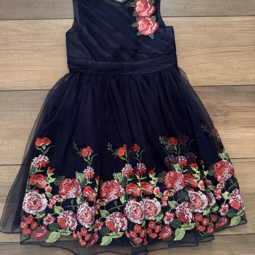 Monsoon formal girls' dress age 6, blue with floral embroidery