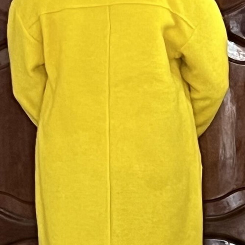 Zara Trf yellow small coat used