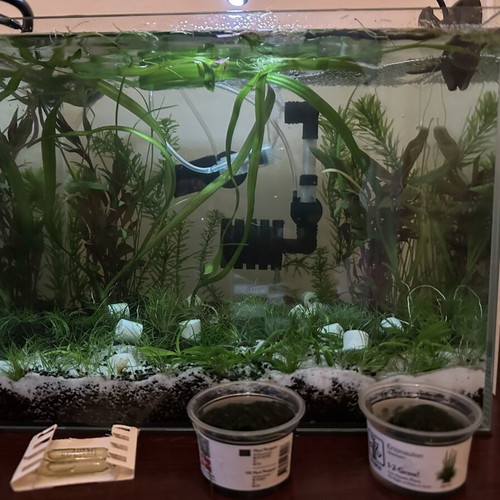 Waterbox Clear Mini 6 Aquarium like new, 20 liters