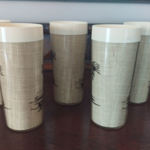Thermo-Serv Vintage Insulated Tumblers Set of 5 Tahitian Holiday