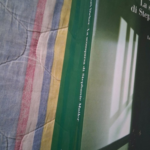 La scomparsa di Stephanie Mailer book used, Italian