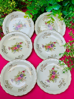 Set of 6 new vintage porcelain plates with hand-painted flowers