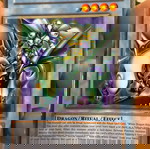  YU-GI-OH Paladin of White Dragon With Ritual Card