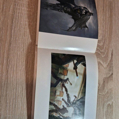 Batman Arkham City Collectors book and game like new for PlayStation 3