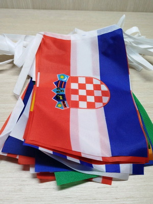 Hanging flags new, pack of 24 different polyester flags