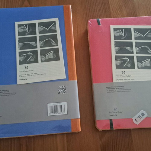 Flexbook notebooks new, pack of 2, large and small