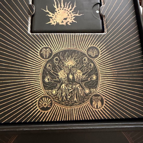 Saros x d.Franklin Limited Edition Sunglasses New
