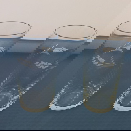 Ποτήρια σε άριστη κατάσταση, σετ 2, με χαραγμένο σχέδιο φύλλου και λουλουδιού