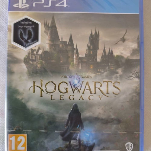 Hogwarts Legacy PS4 game