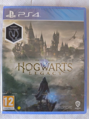 Hogwarts Legacy PS4 game