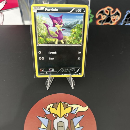 Purrloin 66/114 MP αγγλική κάρτα Pokemon Zoroark Trainer Kit μεταχειρισμένη