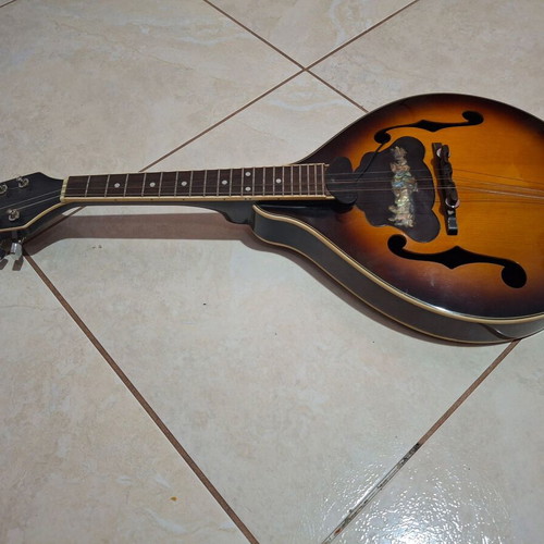 Sangwha 8-string mandolin with pickup, Korean