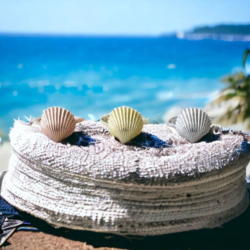Shell Ring New Silver 925 Available In Three Colors