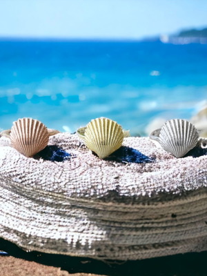 Shell Ring New Silver 925 Available In Three Colors