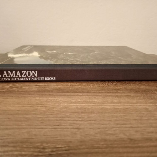 The world’s wild places: The Amazon