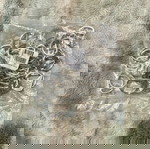  50 Μεταλλικοί D-Ring Κρίκοι 30mm – Ασημί, Πάχος 4mm – Ιδανικοί για Λουριά, Τσάντες & Κατασκευές