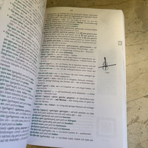 Basiswörterbuch Deutsch als Fremdsprache German dictionary like new
