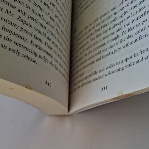 Rogue Lawyer by John Grisham used English crime novel