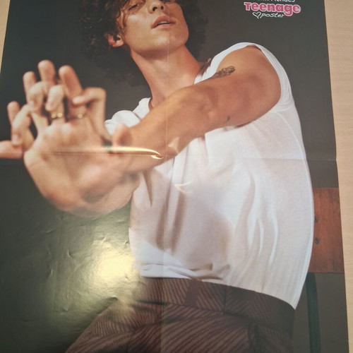 Teenage Girl Shawn Mendes Gigantic Poster new