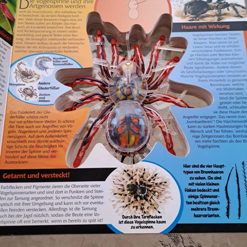 Σπάνιο Συλλεκτικό Βιβλίο Vogelspinne in 3D μεταχειρισμένο, David George Gordon