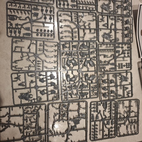 Warhammer Soulblight Gravelords miniatures used, missing some parts