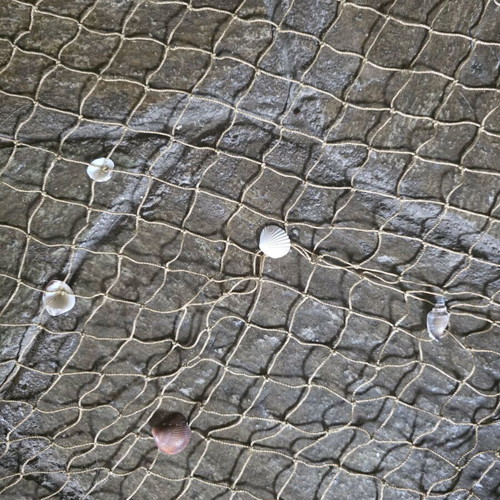 Decorative wall net with shells like new