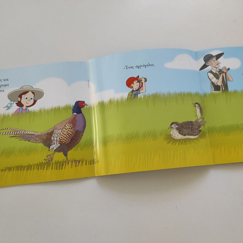The Meadow children's book like new