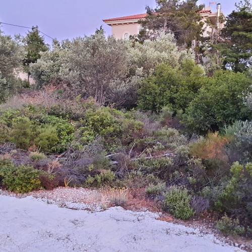 Land 1,500 m² in Drafi, corner plot, within city plan