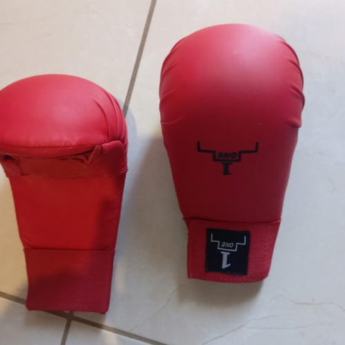 Karate gloves