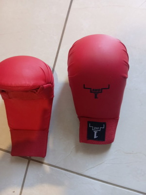 Karate gloves