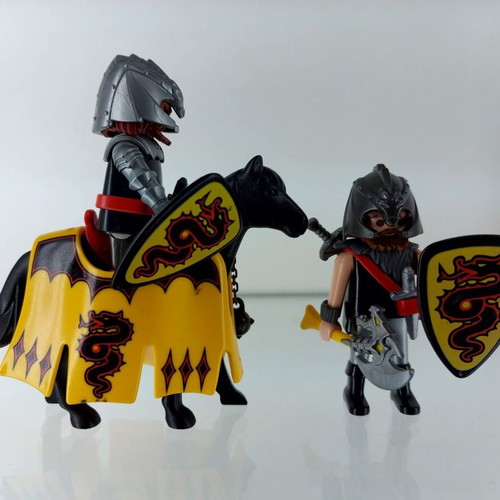 Playmobil Dragon Knights used