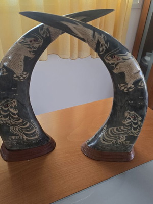Wooden decorative horns with dragons set of 2 used