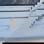 Γυαλιά ηλίου Ray Ban σαν καινούργιο, καφέ