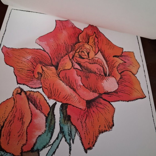 Vintage album with 12 botanical art prints by WINCH, like new